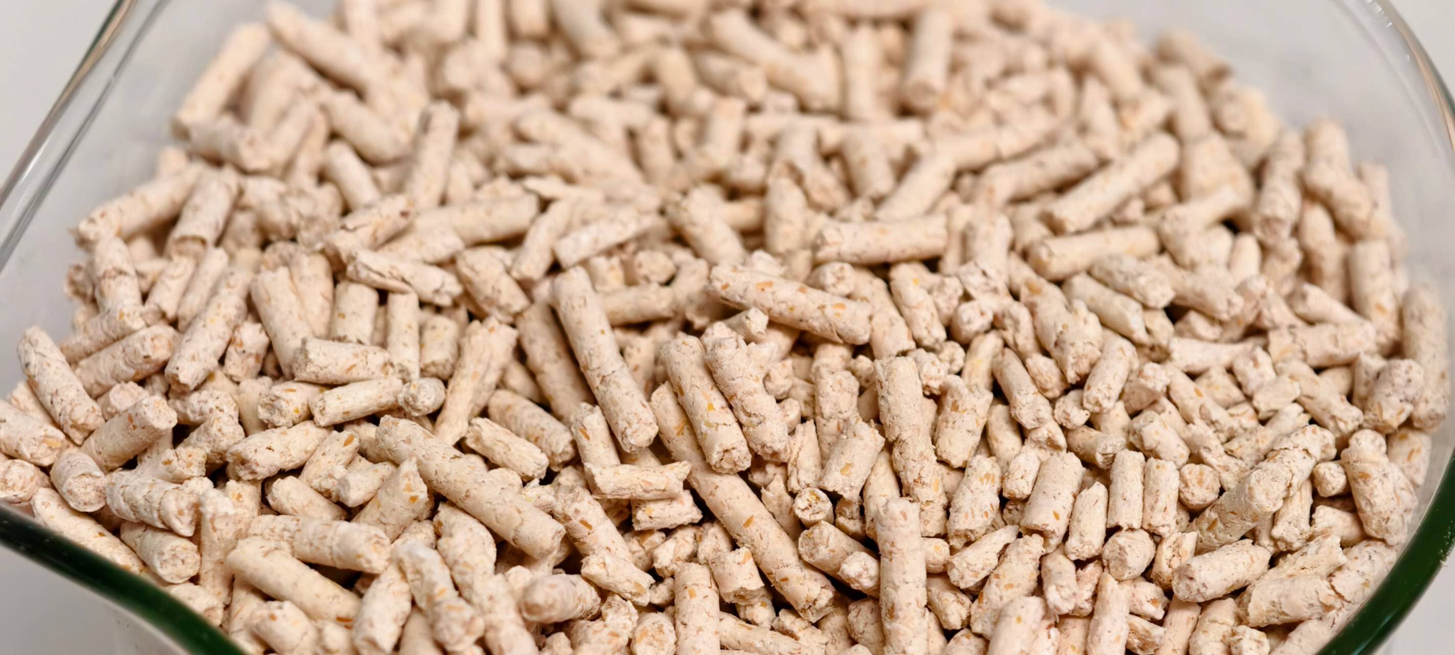 The Dangers of Different Cat Litters