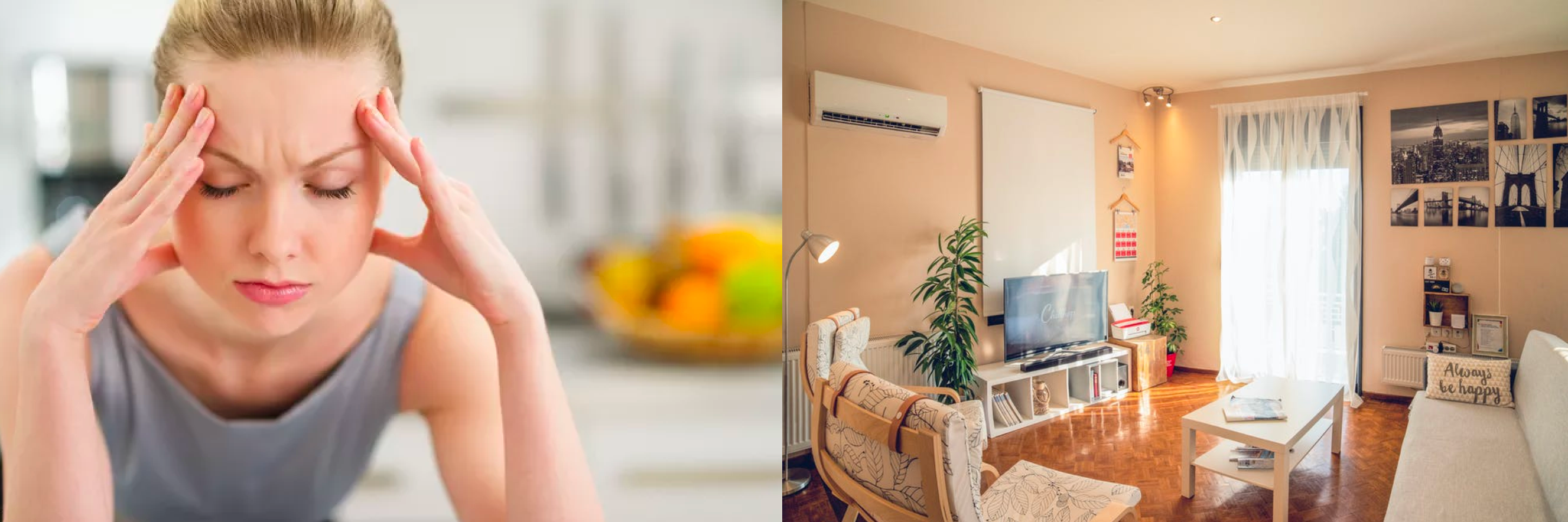 The Best Cat Litter for Apartment & Townhouse Living