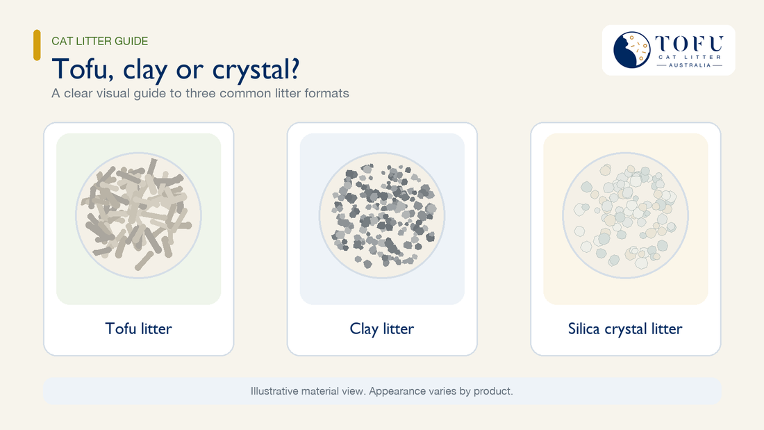 Clumping Cat Litter Compared: Tofu vs Clay vs Crystal