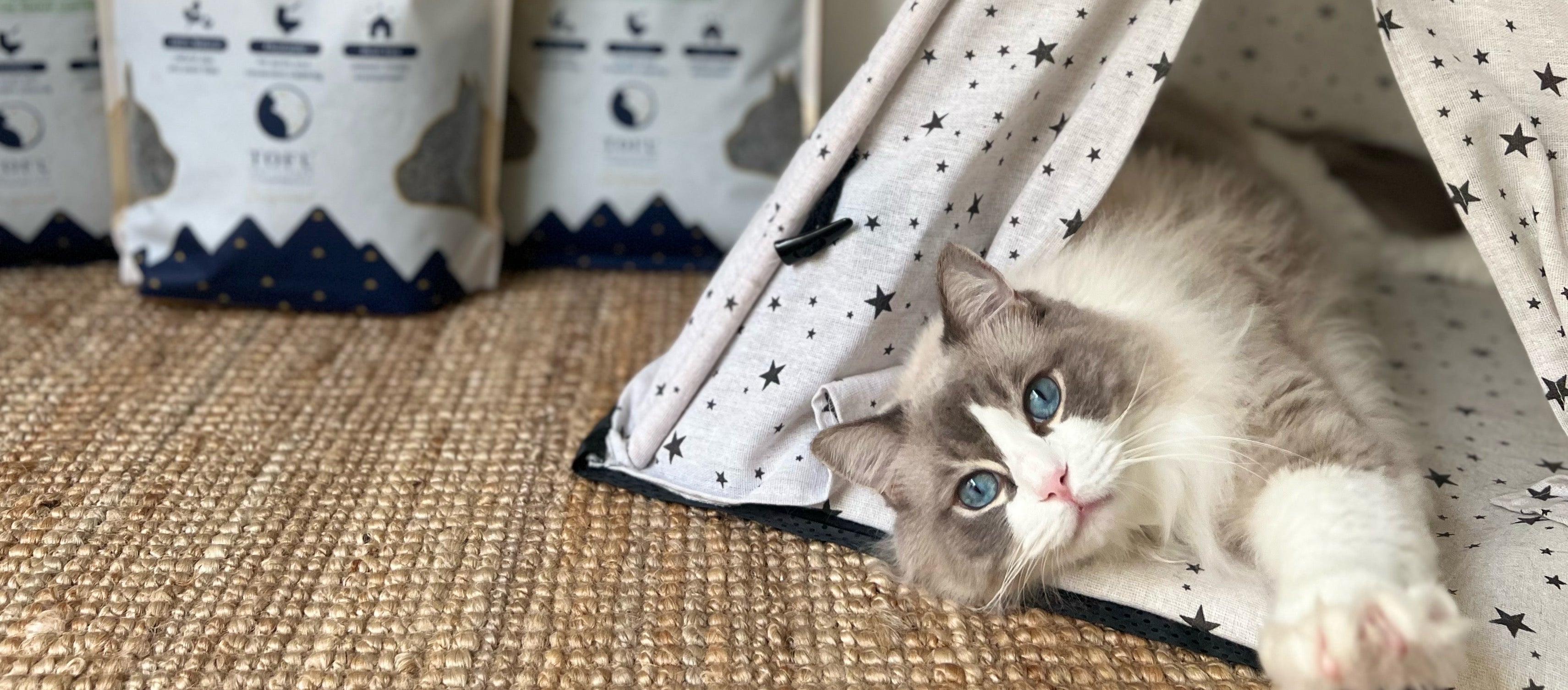 TOFU CAT LITTER AUSTRALIA